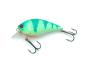 Preview: Angry Perch
